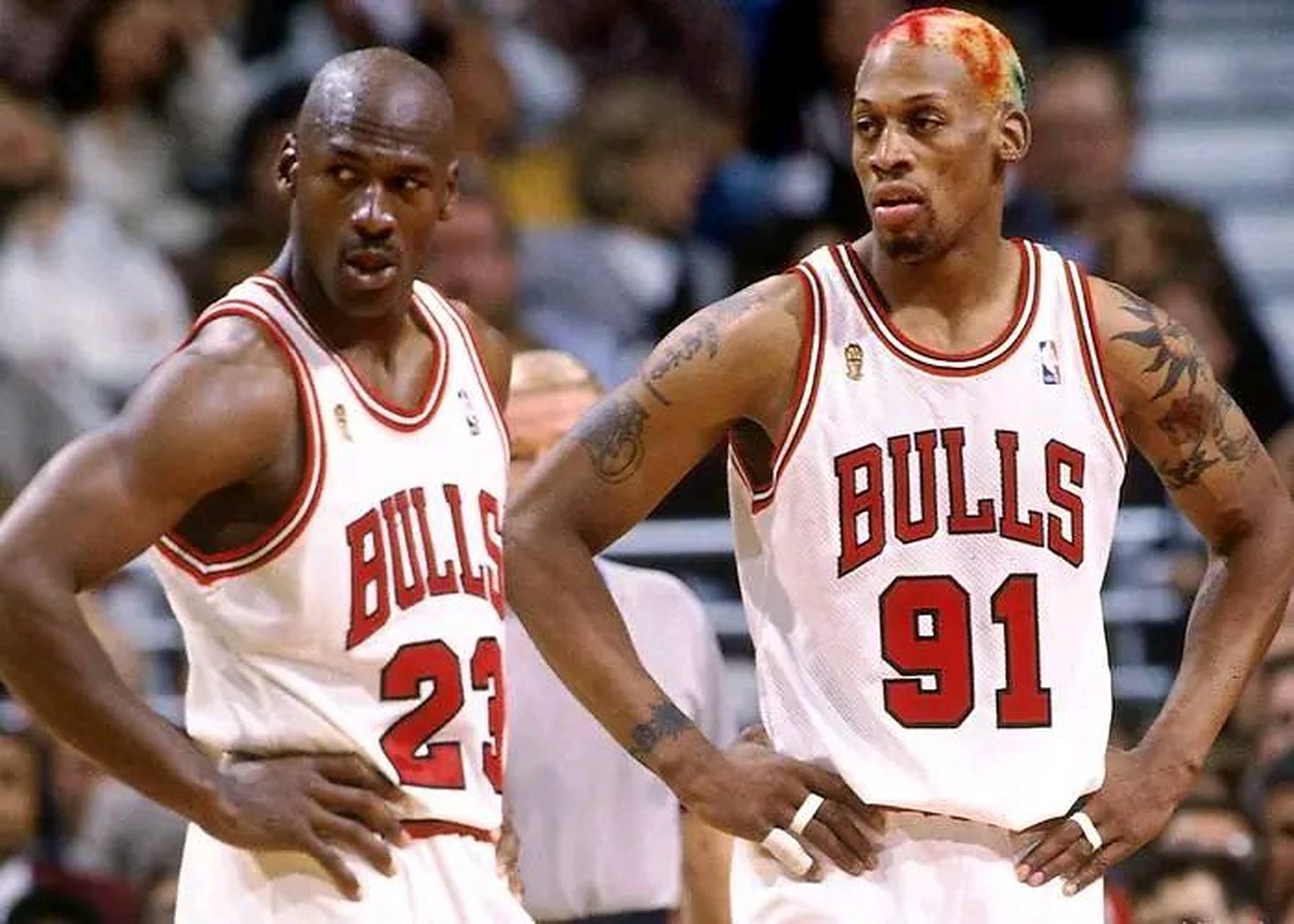 篮球明星加盟公牛队稳固阵容 篮球明星加盟公牛队稳固阵容