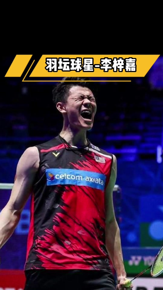 PG电子线上登入-关于马来西亚队鏖战德国队，李梓嘉高光表现的信息