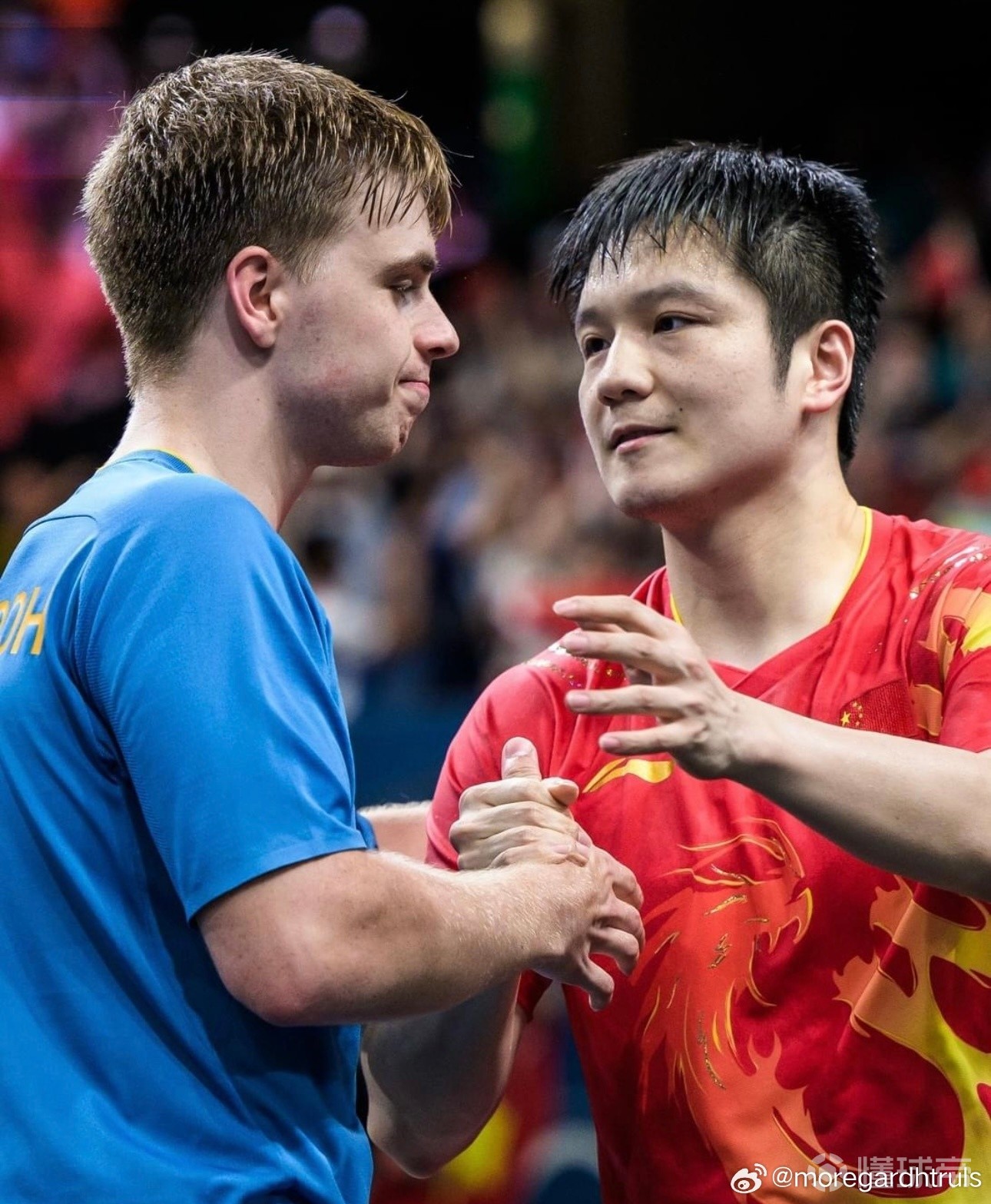 PG SOFT游戏-包含瑞典乒乓球队碾压韩国乒乓球队，樊振东送出助攻的词条