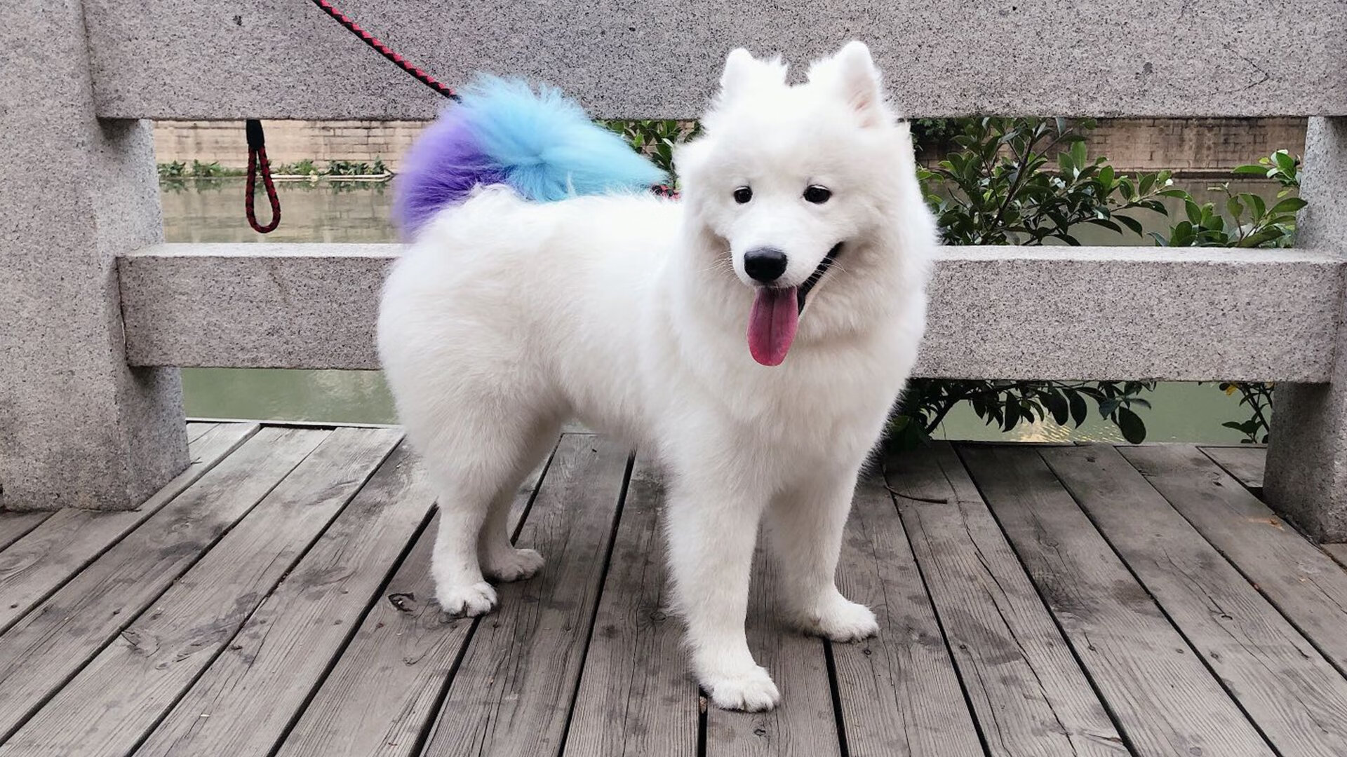 C罗压制级发挥震撼全场，芬兰强势拿下瑞士展现北欧力量