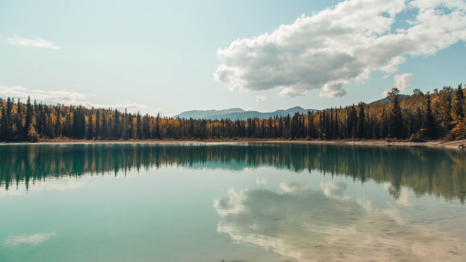 绿茵场与硬木地板的交响，当西甲德比点燃战火，骑士已为雷霆奏响终章