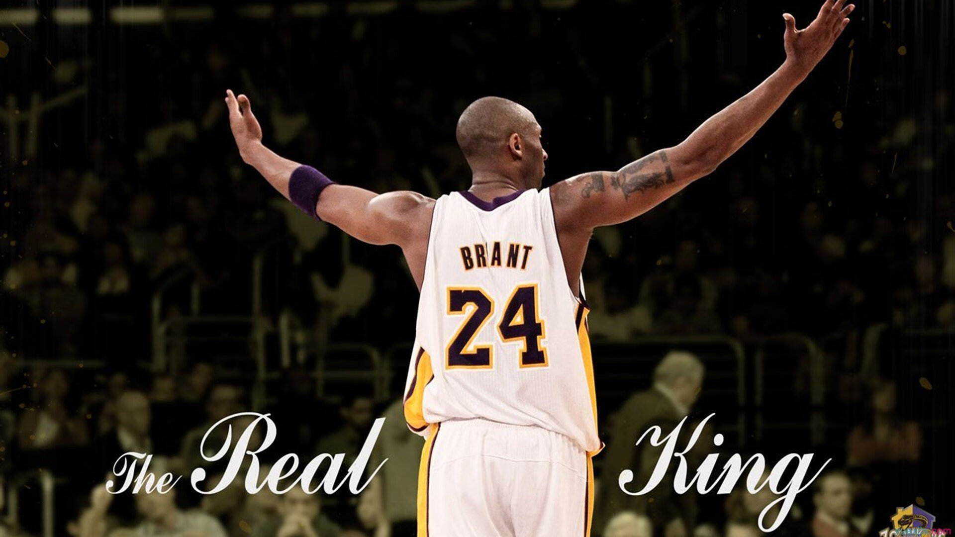 武切维奇点燃赛场,篮网客场力克深圳,展现国际篮球交流新篇章