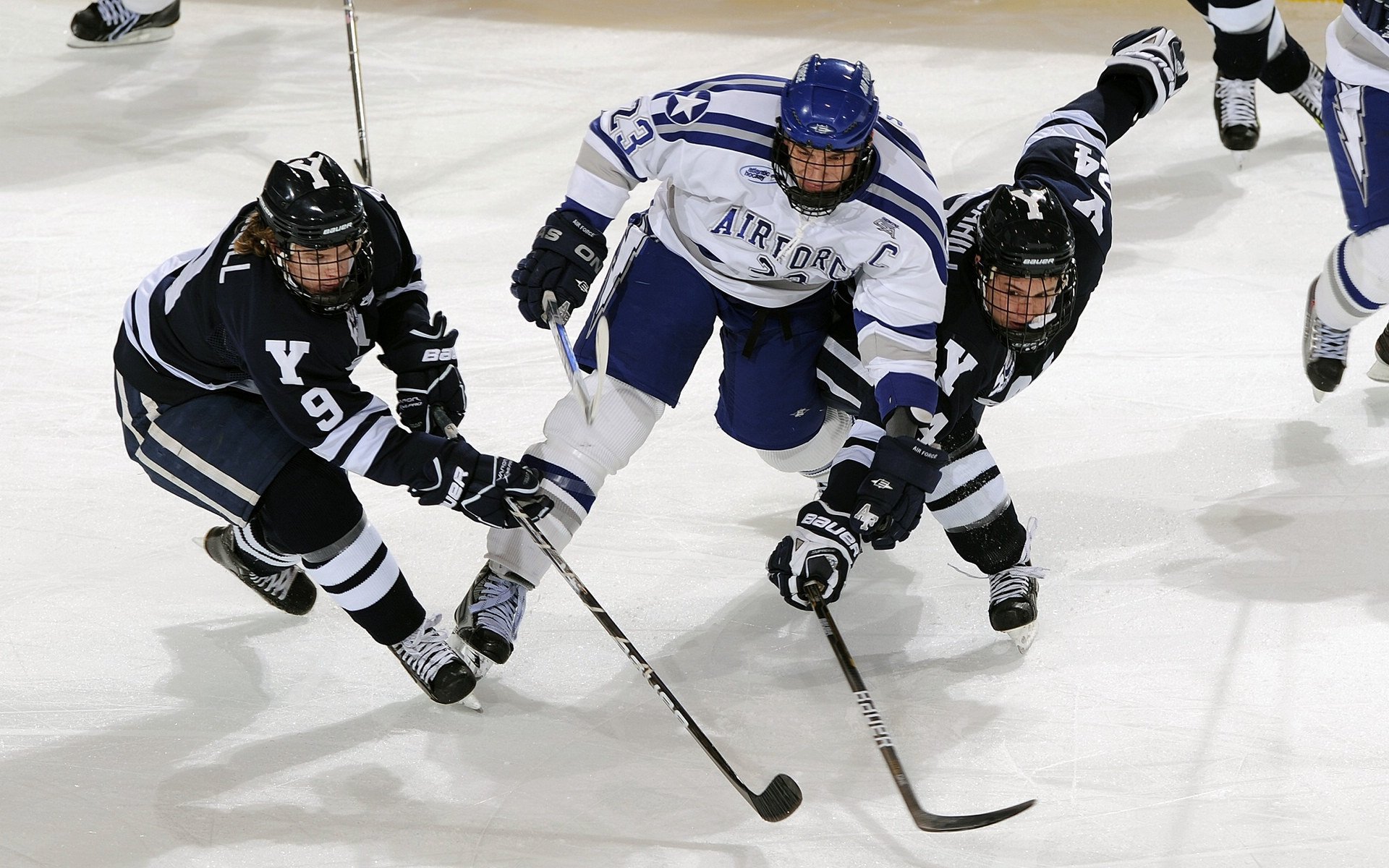 世界排名争夺战焦点战，上海队正面击溃黄蜂